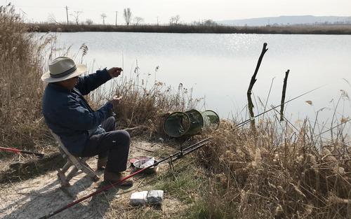 天津芦苇钓鱼环境如何？如何在钓芦苇丛钓鱼？