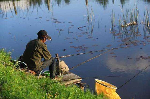 秋季钓鱼如何选择鱼饵，秋季钓鱼选择什么样的钓点好?